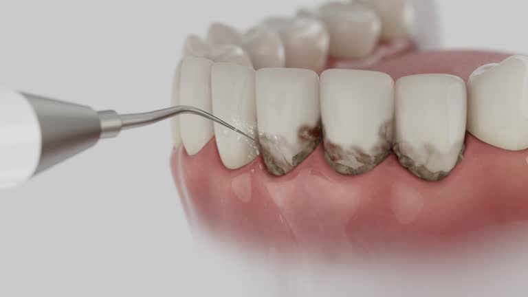 Reliable Dental contractor in Brushy Creek, TX by Dentist Open Now